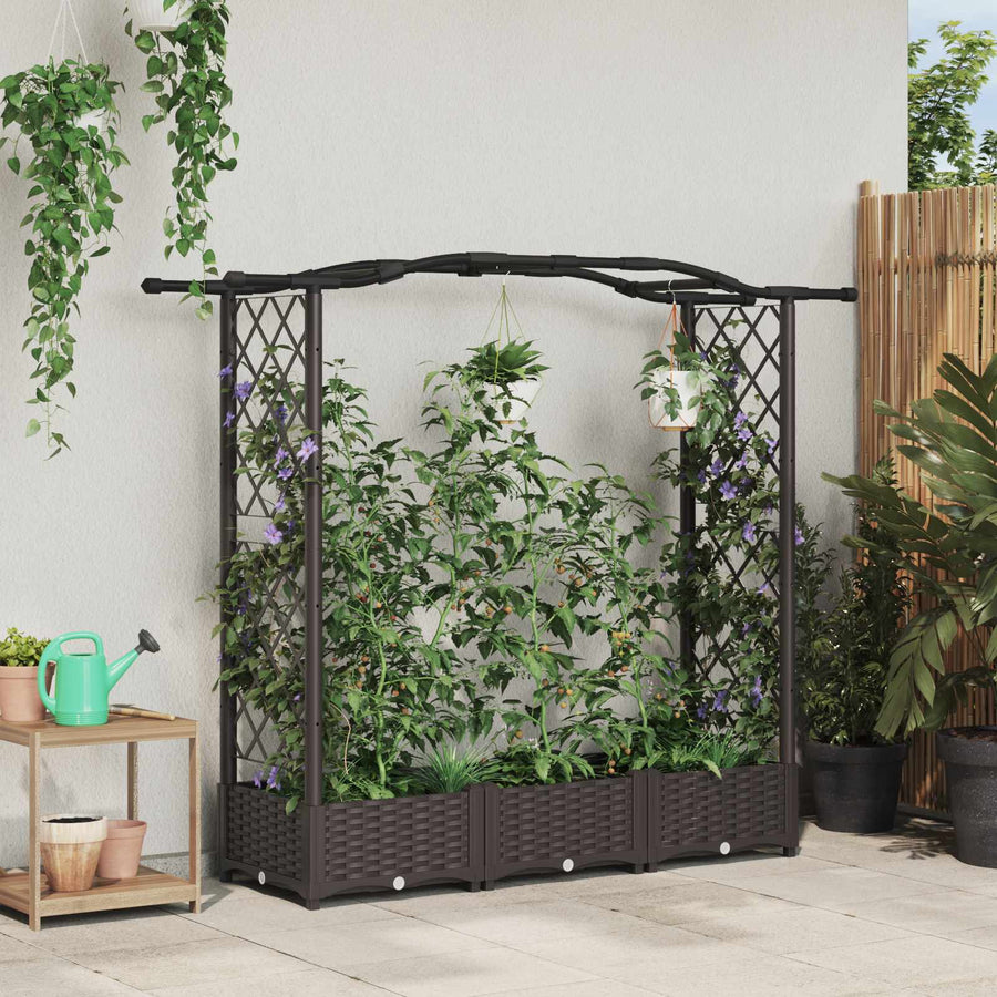 Verhoogd Bed met Trellis en Dak Bruin 169 x 40 x 125 cm PP