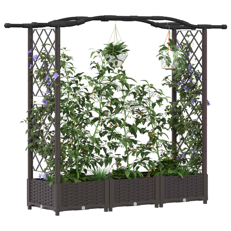 Verhoogd Bed met Trellis en Dak Bruin 169 x 40 x 125 cm PP