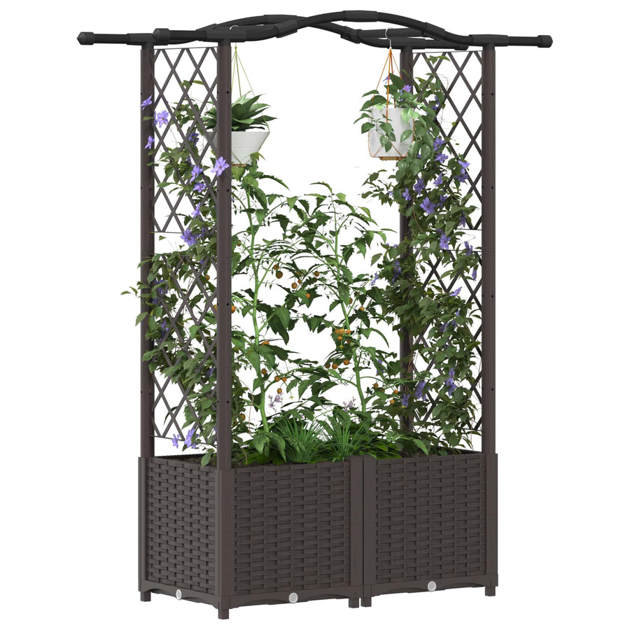 Verhoogd Bed met Trellis en Dak Bruin 125 x 40 x 138 cm PP