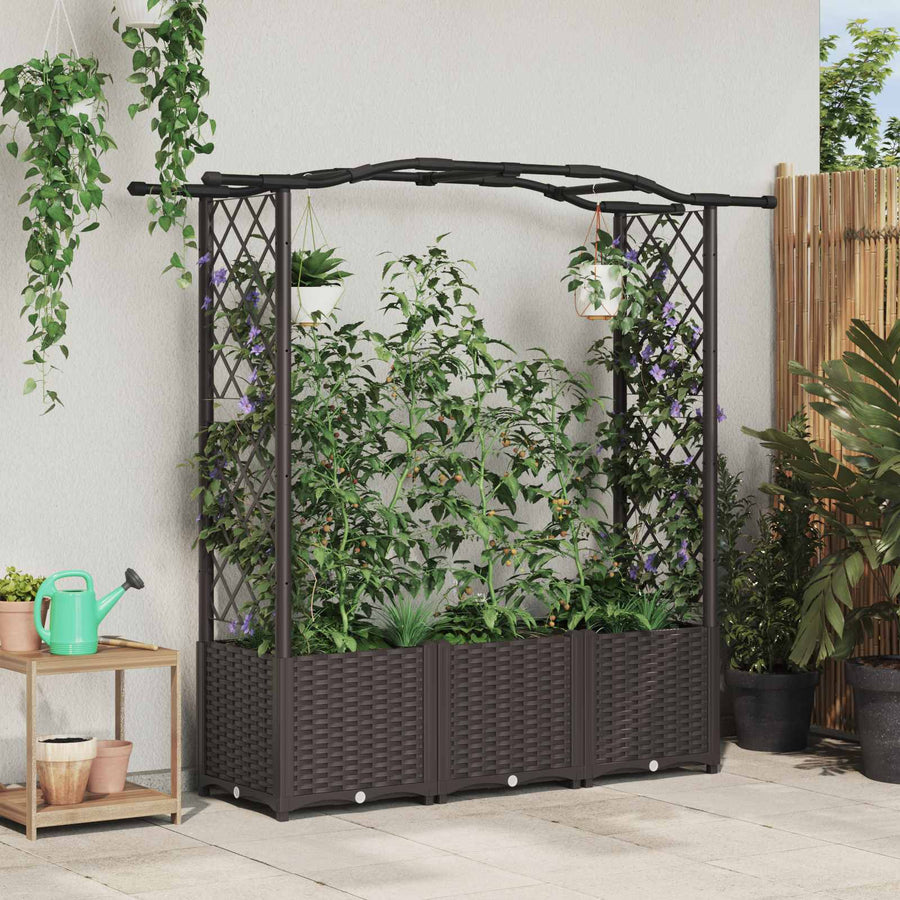Verhoogd Bed met Trellis en Dak Bruin 164 x 40 x 142 cm PP