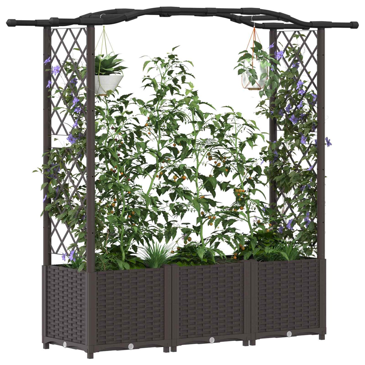 Verhoogd Bed met Trellis en Dak Bruin 164 x 40 x 142 cm PP