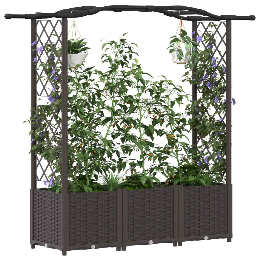 Verhoogd Bed met Trellis en Dak Bruin 164 x 40 x 142 cm PP
