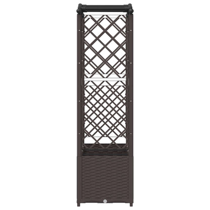 Verhoogd Bed met Trellis en Dak Bruin 164 x 40 x 142 cm PP