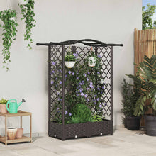 Verhoogd Bed met Trellis en Dak Bruin 124 x 40 x 126 cm PP