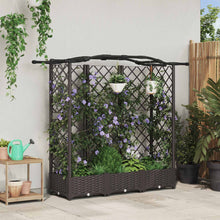 Verhoogd Bed met Trellis en Dak Bruin 163 x 40 x 126 cm PP