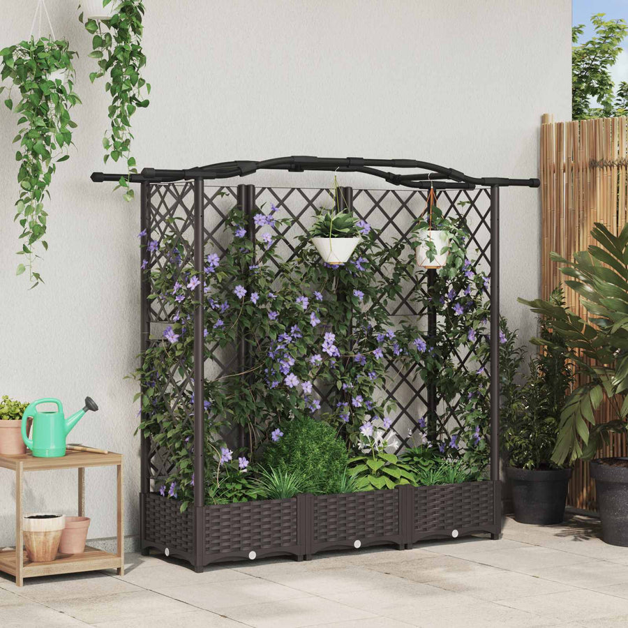 Verhoogd Bed met Trellis en Dak Bruin 163 x 40 x 126 cm PP
