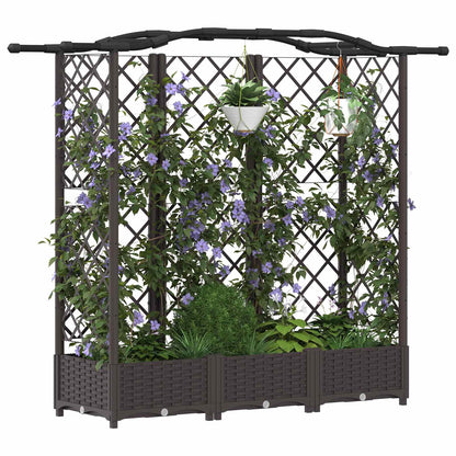 Verhoogd Bed met Trellis en Dak Bruin 163 x 40 x 126 cm PP
