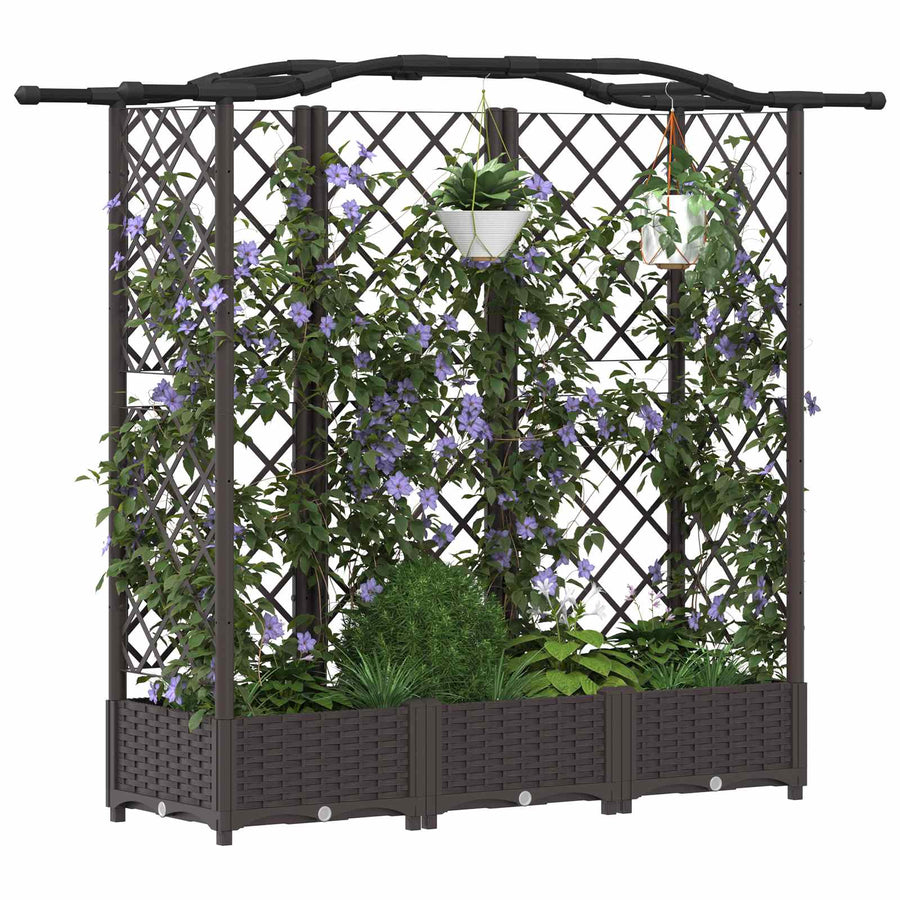 Verhoogd Bed met Trellis en Dak Bruin 163 x 40 x 126 cm PP