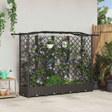 Verhoogd Bed met Trellis en Dak Bruin 203,5 x 40 x 125 cm PP