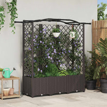 Verhoogd Bed met Trellis en Dak Bruin 163 x 40 x 141 cm PP