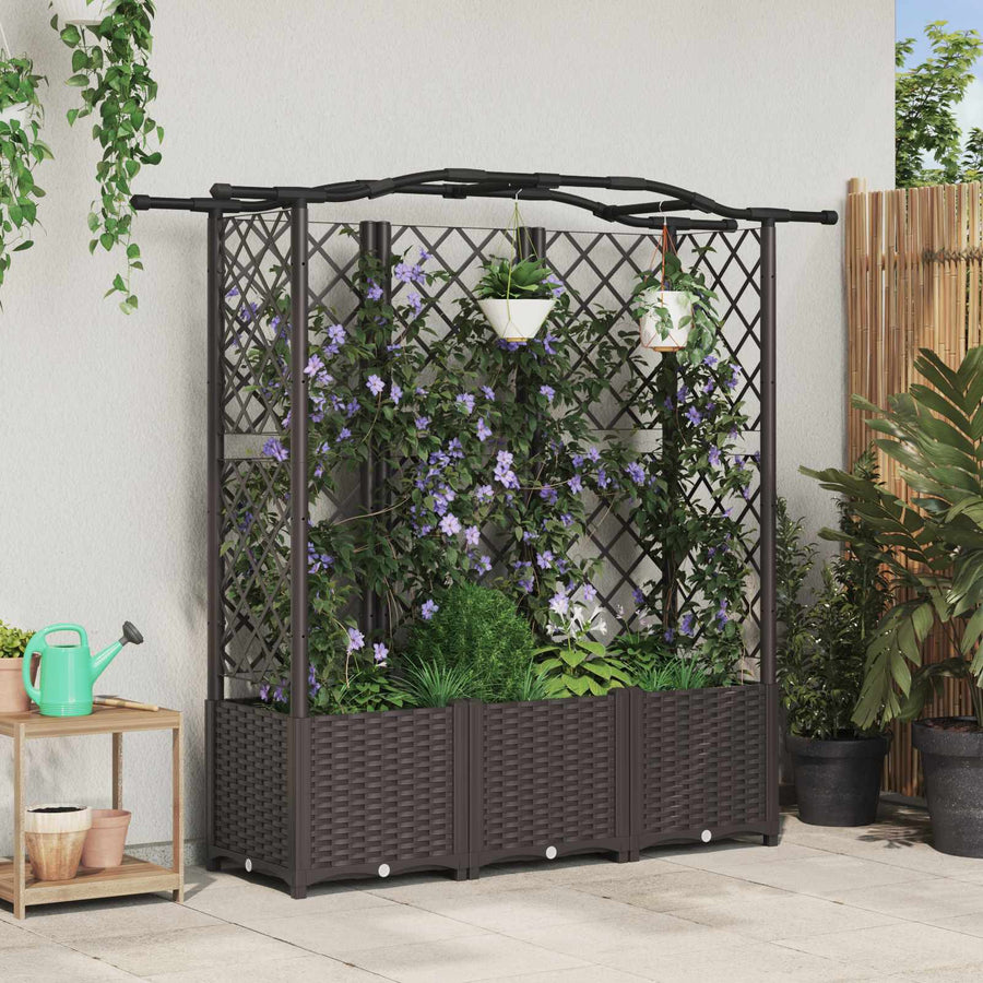 Verhoogd Bed met Trellis en Dak Bruin 163 x 40 x 141 cm PP