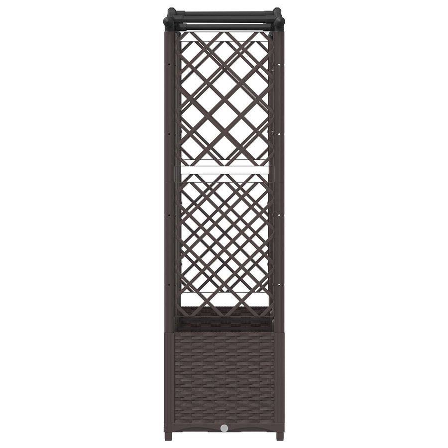 Verhoogd Bed met Trellis en Dak Bruin 163 x 40 x 141 cm PP