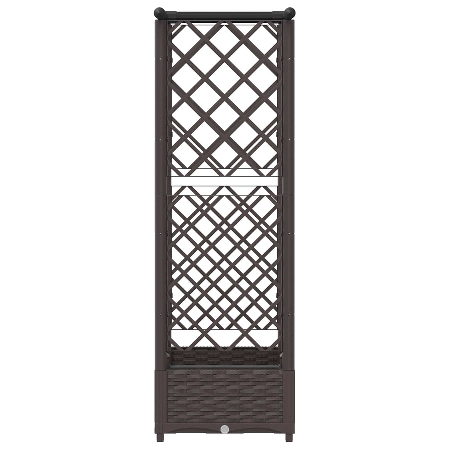 Verhoogd Bed met Trellis en Dak Bruin 122,5 x 40 x 123 cm PP