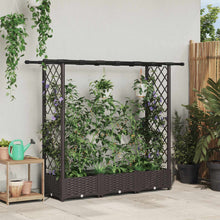 Verhoogd Bed met Trellis en Dak Bruin 164 x 40 x 123 cm PP