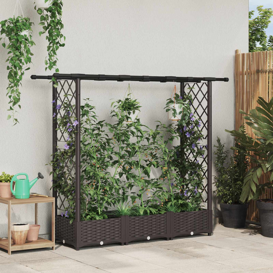 Verhoogd Bed met Trellis en Dak Bruin 164 x 40 x 123 cm PP