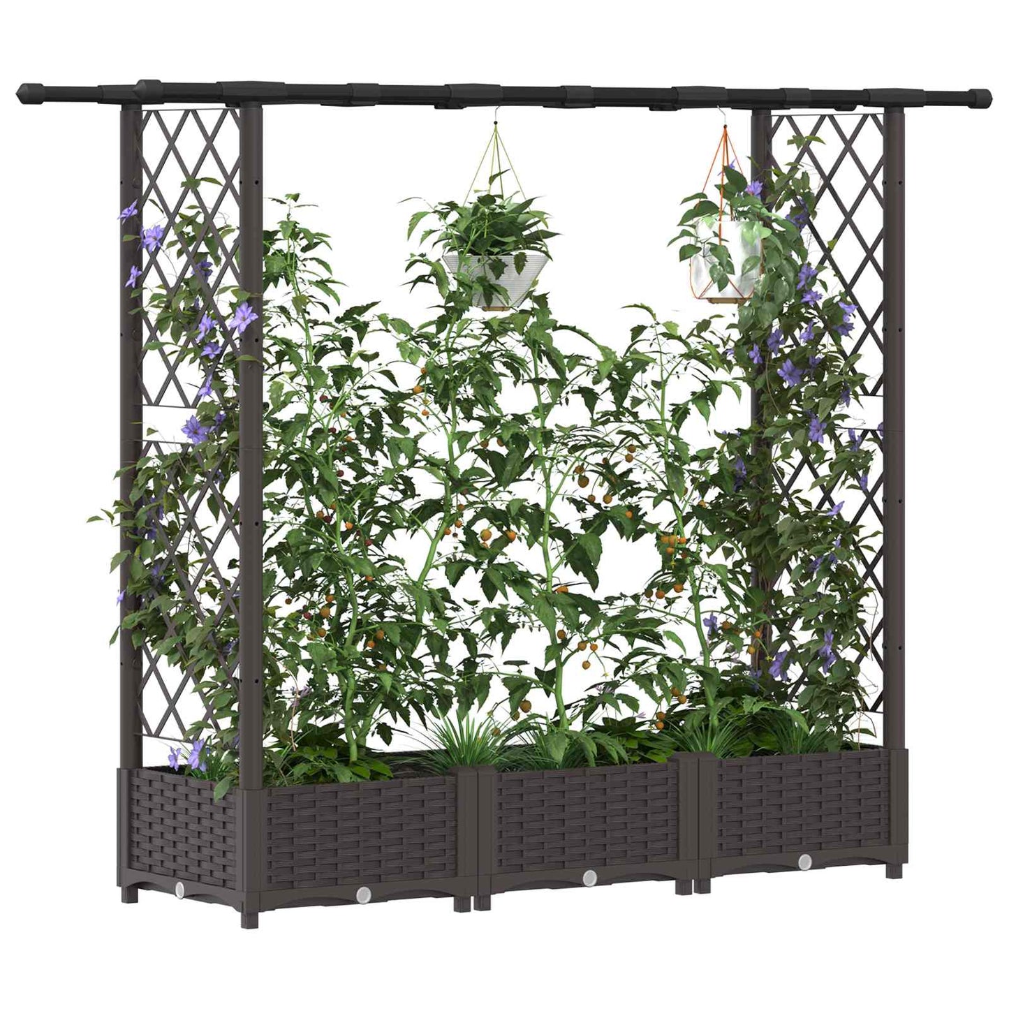 Verhoogd Bed met Trellis en Dak Bruin 164 x 40 x 123 cm PP