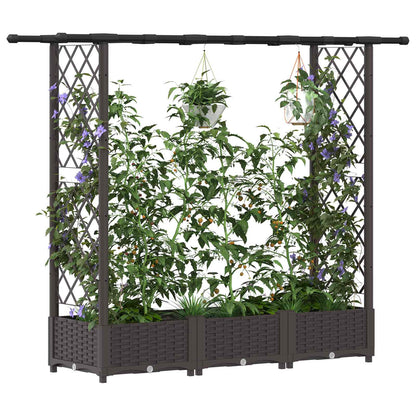 Verhoogd Bed met Trellis en Dak Bruin 164 x 40 x 123 cm PP