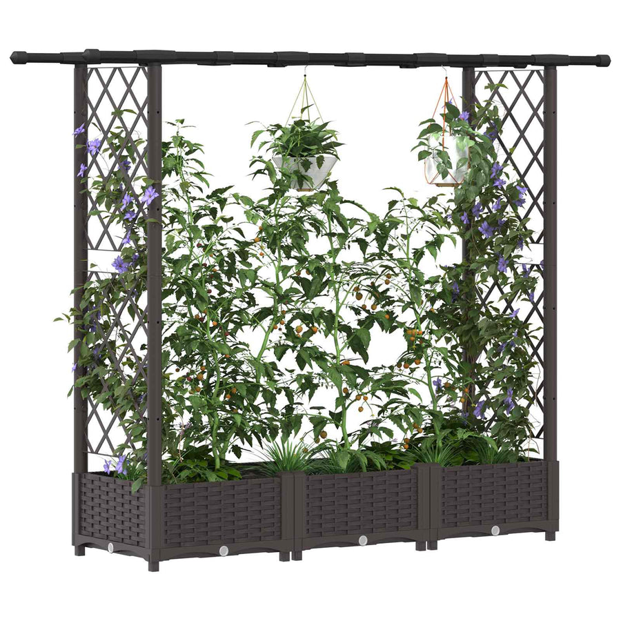 Verhoogd Bed met Trellis en Dak Bruin 164 x 40 x 123 cm PP