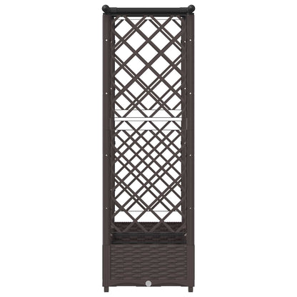 Verhoogd Bed met Trellis en Dak Bruin 164 x 40 x 123 cm PP