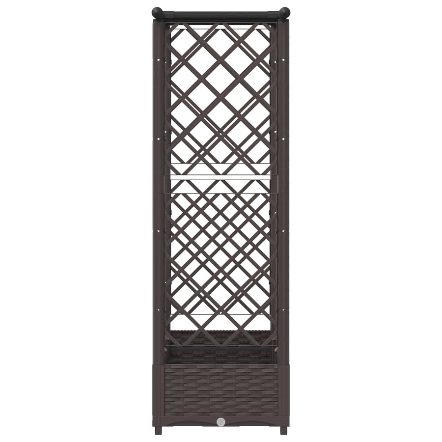 Verhoogd Bed met Trellis en Dak Bruin 164 x 40 x 123 cm PP