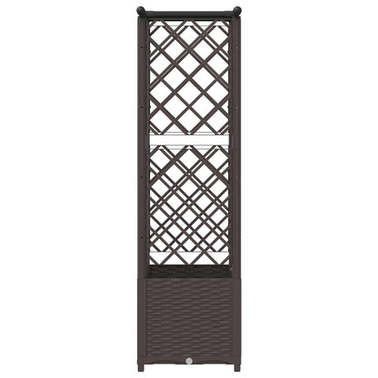 Verhoogd Bed met Trellis en Dak Bruin 124,5 x 40 x 138 cm PP