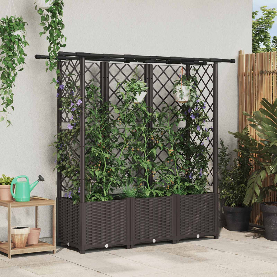 Verhoogd Bed met Trellis en Dak Bruin 162,5 x 40 x 138 cm PP