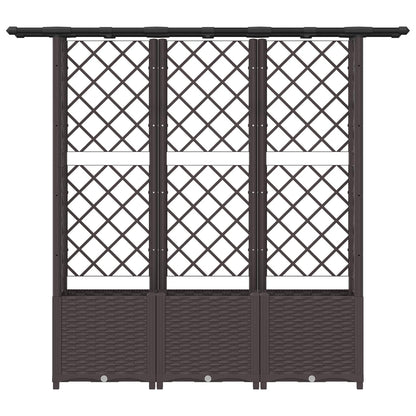 Verhoogd Bed met Trellis en Dak Bruin 162,5 x 40 x 138 cm PP