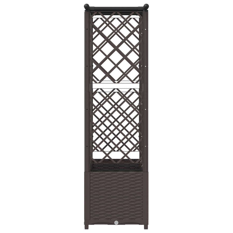 Verhoogd Bed met Trellis en Dak Bruin 162,5 x 40 x 138 cm PP