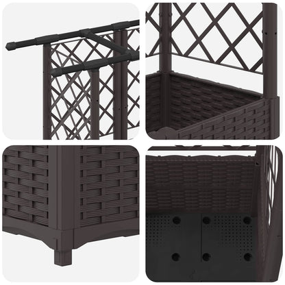 Verhoogd Bed met Trellis en Dak Bruin 203 x 40 x 138 cm PP