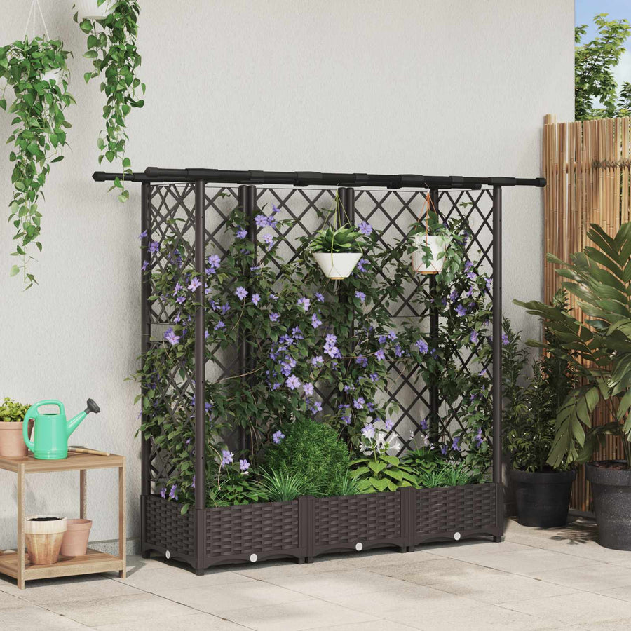 Verhoogd Bed met Trellis en Dak Bruin 164 x 40 x 123 cm PP
