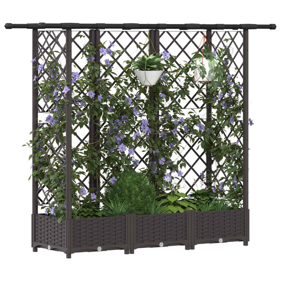 Verhoogd Bed met Trellis en Dak Bruin 164 x 40 x 123 cm PP