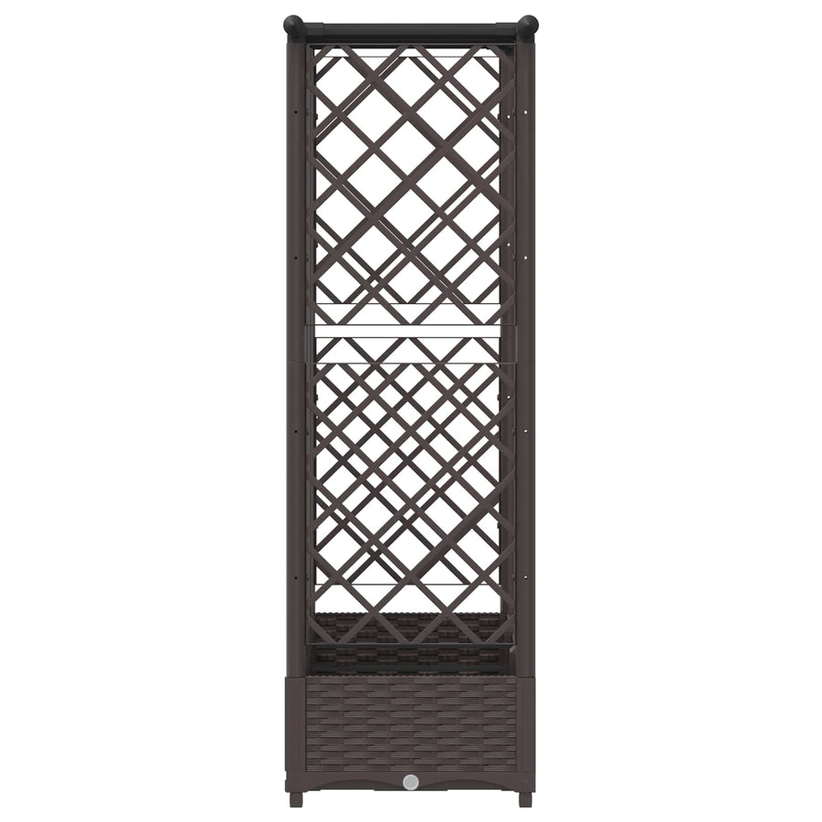Verhoogd Bed met Trellis en Dak Bruin 164 x 40 x 123 cm PP