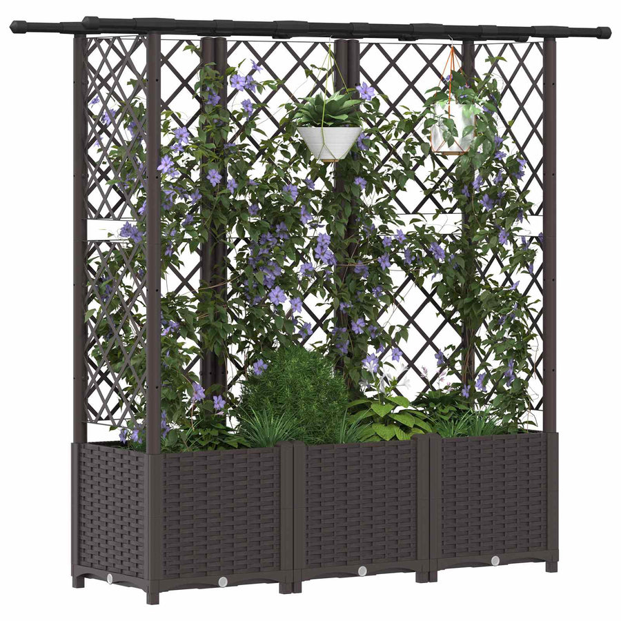 Verhoogd Bed met Trellis en Dak Bruin 163,5 x 40 x 138 cm PP