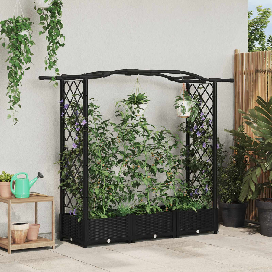 Verhoogd Bed met Trellis en Dak Zwart 169 x 40 x 125 cm PP