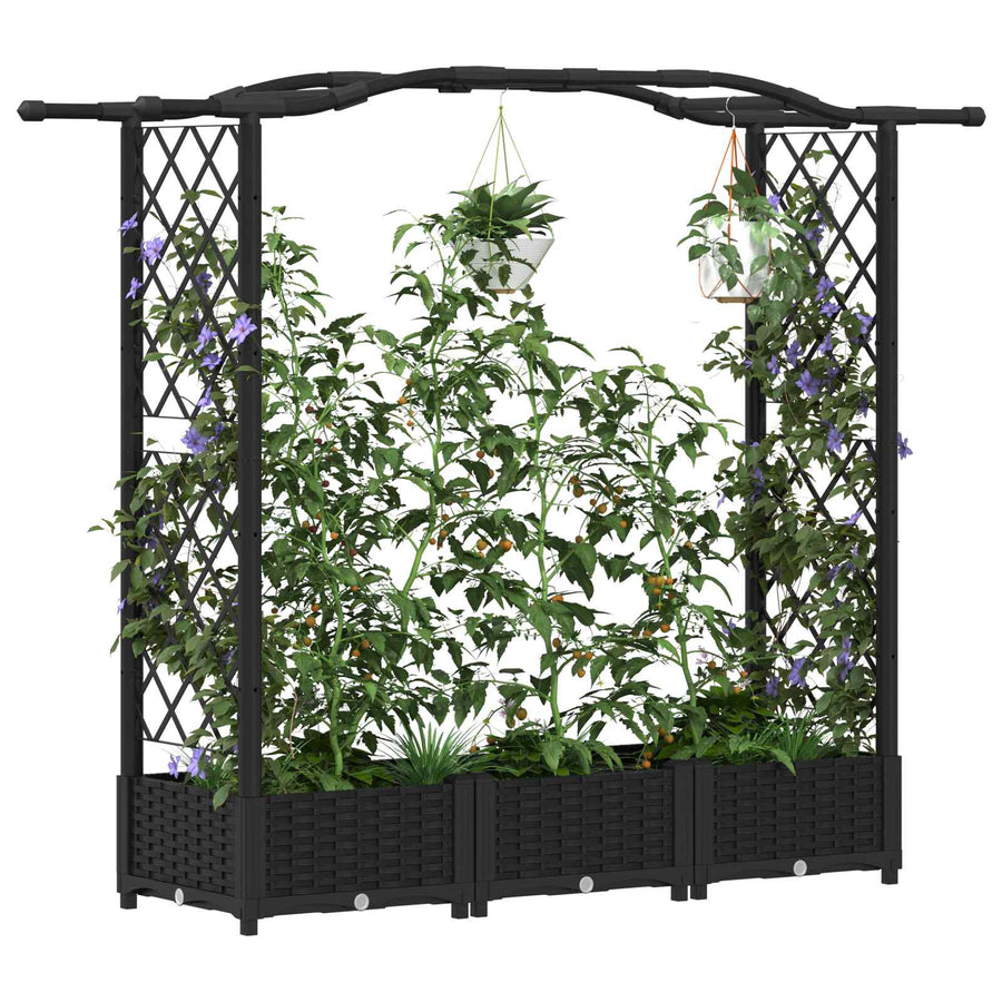 Verhoogd Bed met Trellis en Dak Zwart 169 x 40 x 125 cm PP