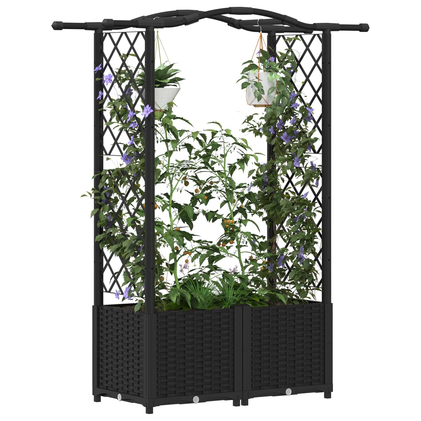 Verhoogd Bed met Trellis en Dak Zwart 125 x 40 x 138 cm PP
