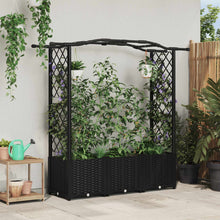 Verhoogd Bed met Trellis en Dak Zwart 164 x 40 x 142 cm PP