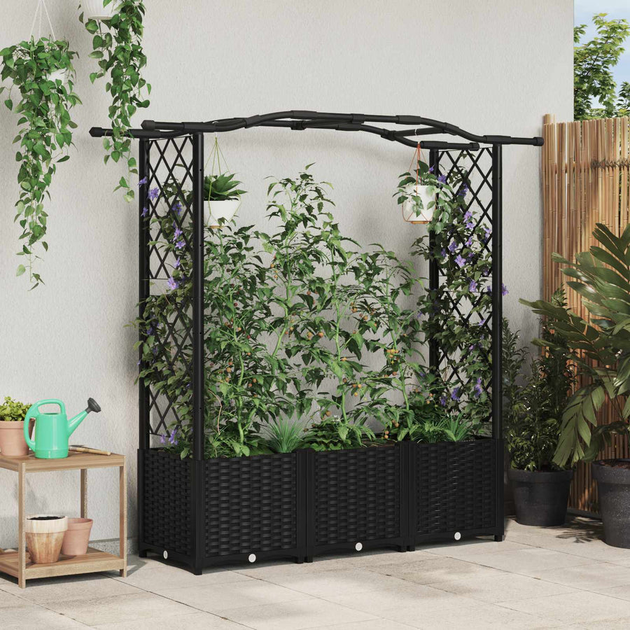 Verhoogd Bed met Trellis en Dak Zwart 164 x 40 x 142 cm PP