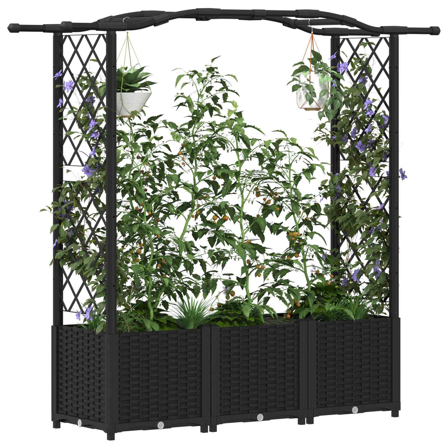 Verhoogd Bed met Trellis en Dak Zwart 164 x 40 x 142 cm PP
