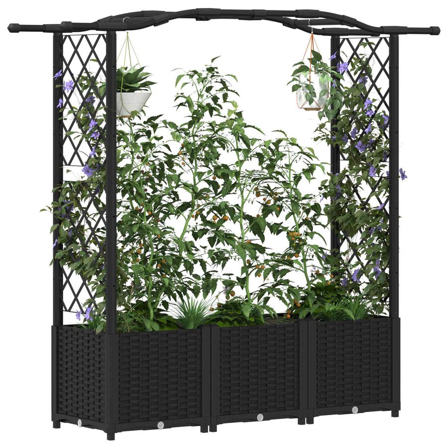 Verhoogd Bed met Trellis en Dak Zwart 164 x 40 x 142 cm PP