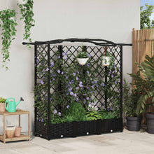 Verhoogd Bed met Trellis en Dak Zwart 163 x 40 x 126 cm PP