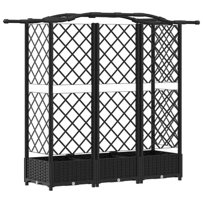 Verhoogd Bed met Trellis en Dak Zwart 163 x 40 x 126 cm PP