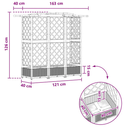 Verhoogd Bed met Trellis en Dak Zwart 163 x 40 x 126 cm PP