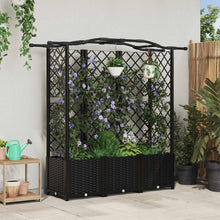 Verhoogd Bed met Trellis en Dak Zwart 163 x 40 x 141 cm PP