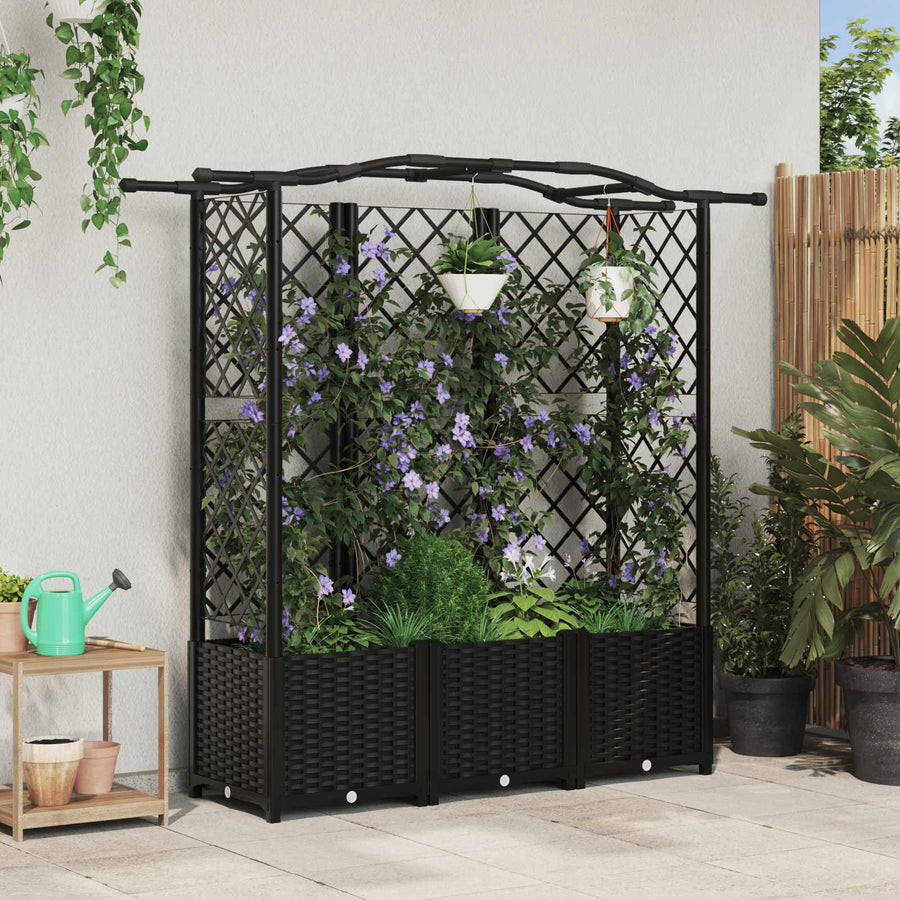 Verhoogd Bed met Trellis en Dak Zwart 163 x 40 x 141 cm PP