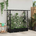 Verhoogd Bed met Trellis en Dak Zwart 164 x 40 x 123 cm PP