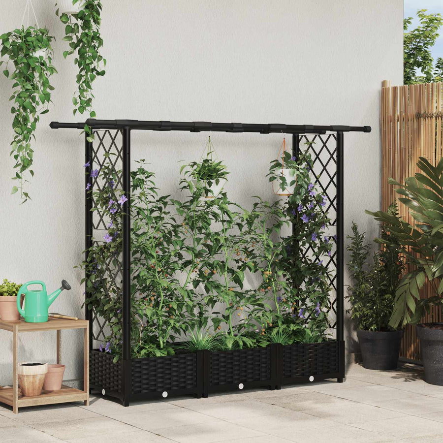 Verhoogd Bed met Trellis en Dak Zwart 164 x 40 x 123 cm PP
