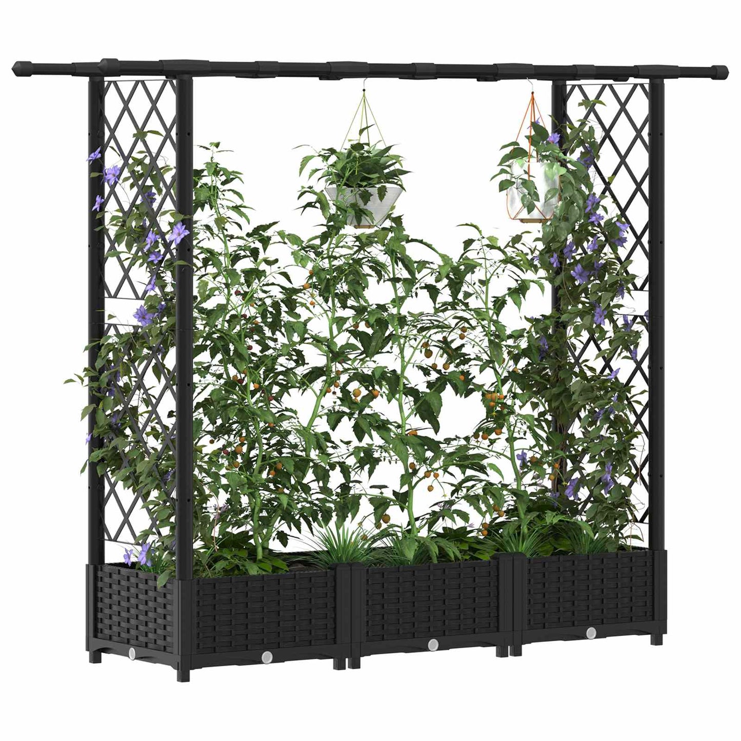 Verhoogd Bed met Trellis en Dak Zwart 164 x 40 x 123 cm PP