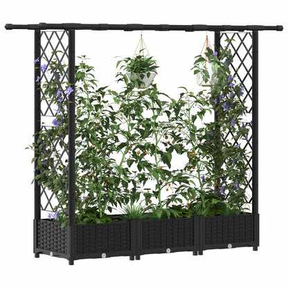 Verhoogd Bed met Trellis en Dak Zwart 164 x 40 x 123 cm PP