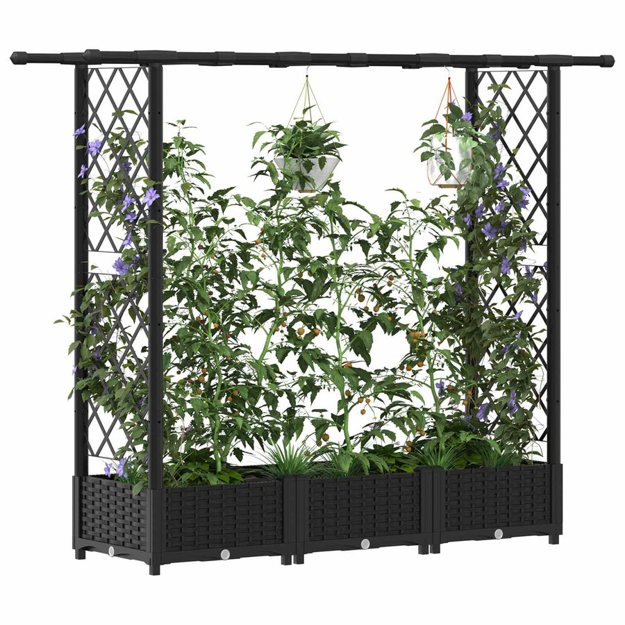Verhoogd Bed met Trellis en Dak Zwart 164 x 40 x 123 cm PP